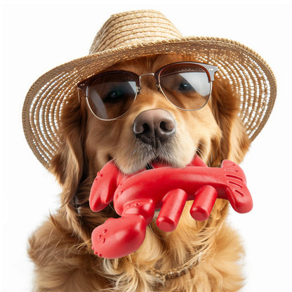 Juguete Resistente para Perros con Mordida Fuerte – Juguete Interactivo para Masticar (Perros Medianos y Grandes)